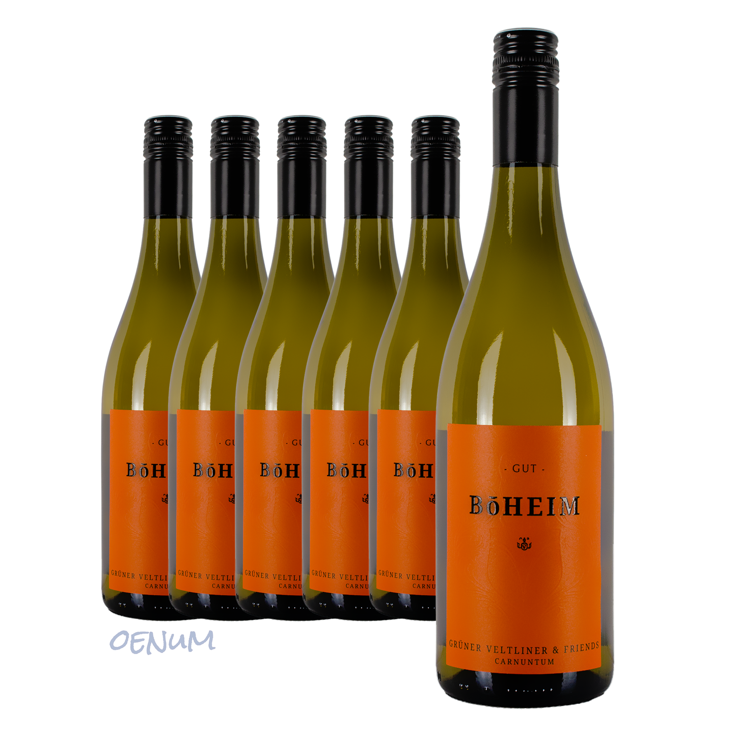 5+1 Flaschenbonus • Grüner Veltliner & Friends 2024