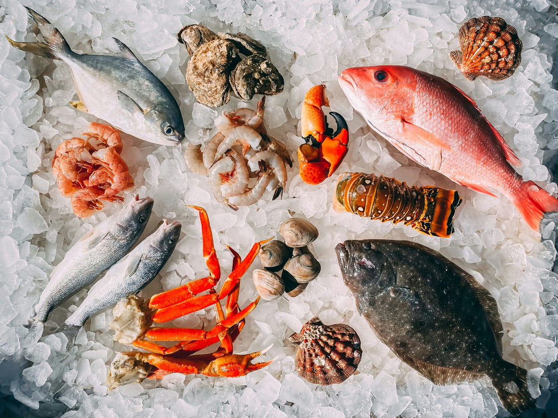 Welcher Wein passt zu Fisch und Meeresfrüchten