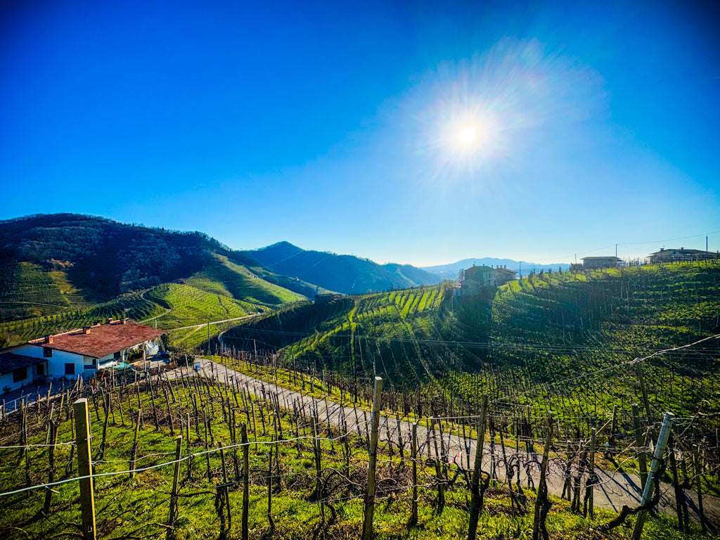 Hügel von Valdobbiadene Prosecco DOCG