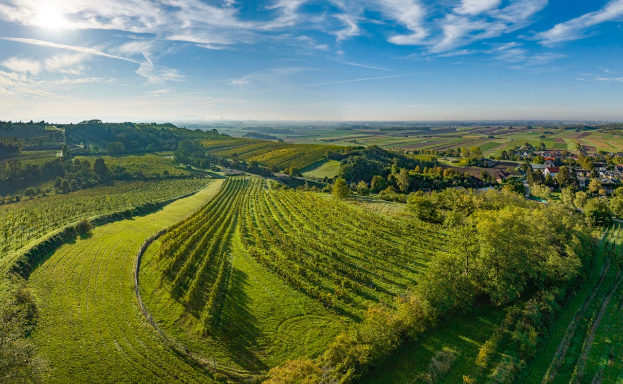WEINVIERTEL