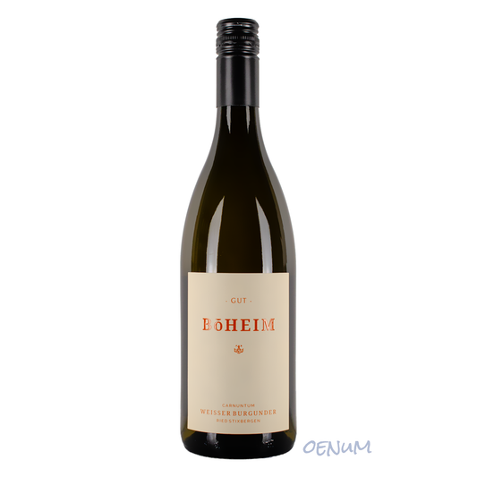 Pinot Blanc Ried Stixbergen 2021