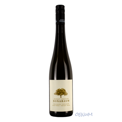 Green Veltliner Federspiel Wachauer Terrassen 2024