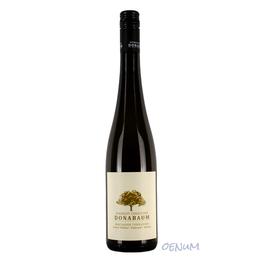 Green Veltliner Federspiel Wachauer Terrassen 2024