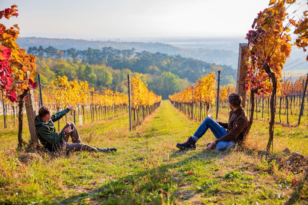 Weingut Kellerkuenstler Weingarten