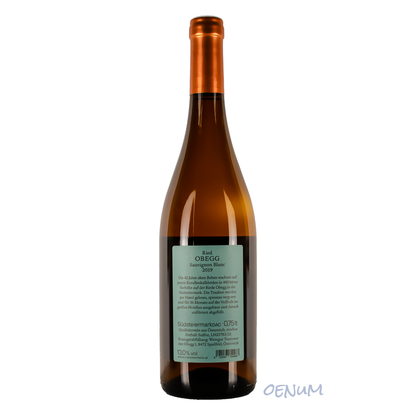 Sauvignon Blanc Ried Obegg 2019