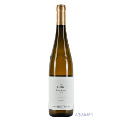 Grüner Veltliner Ried Berg 1. ÖTW Bio 2024