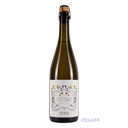 Pet Nat Schaumwein Bio 2024