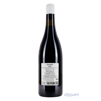 Zweigelt Zistersdorf 2022