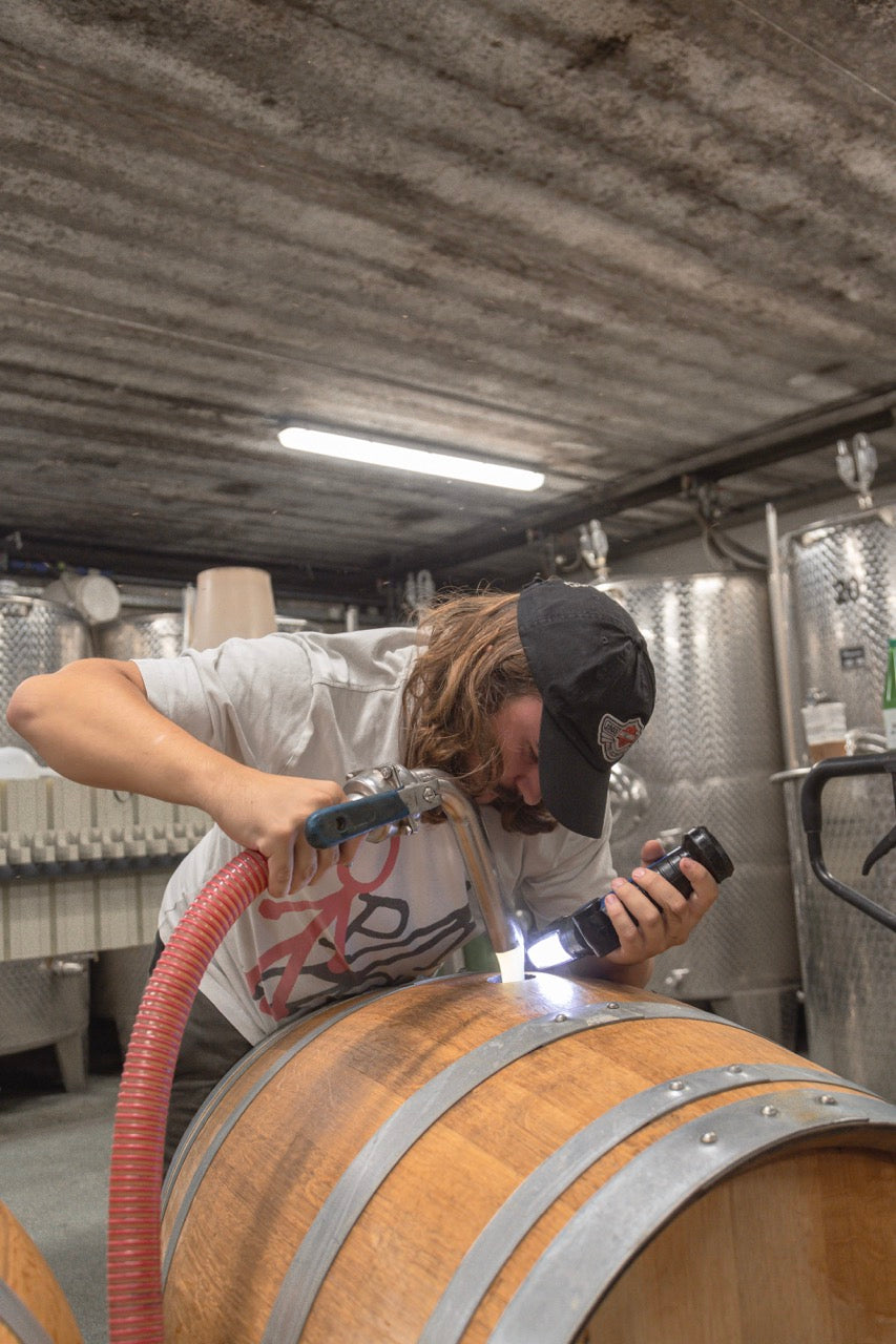 Arbeiten im Weinkeller Weingut Zweytick