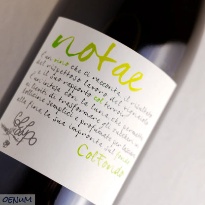 Valdobbiadene DOCG ColFondo - "Notae"