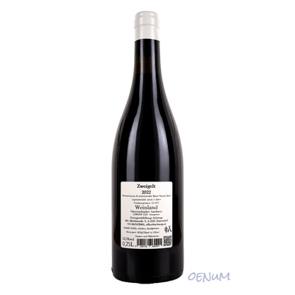 Zweigelt Zistersdorf 2022